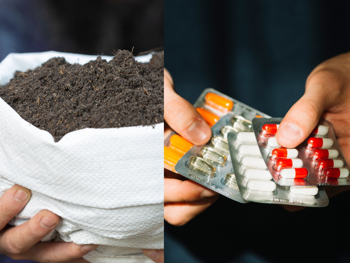 Agriculture and Fertilisers; Healthcare and Education services get cheaper under new gst regime