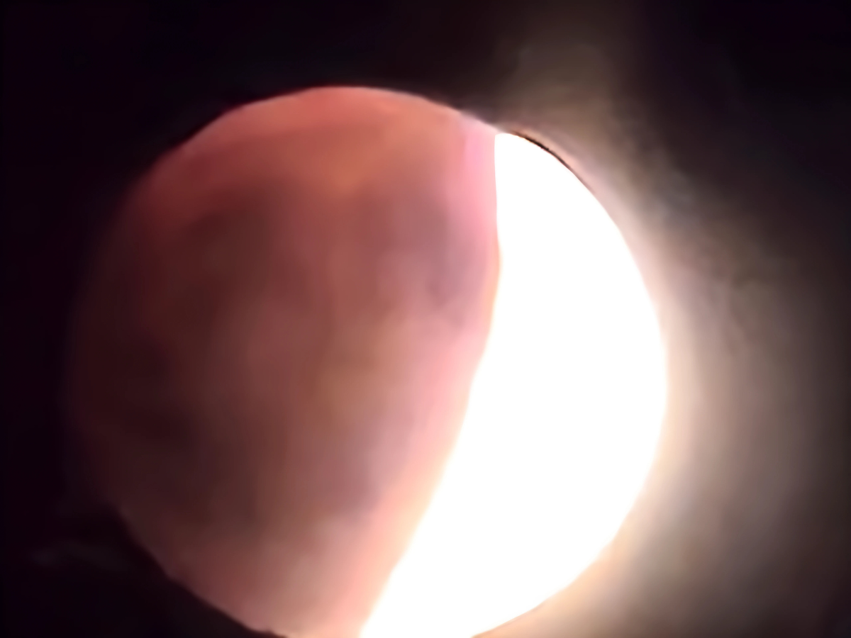 Blood Moon 2025 | Pic Credit: Swastika Sruti - iPhone 13 Clicked