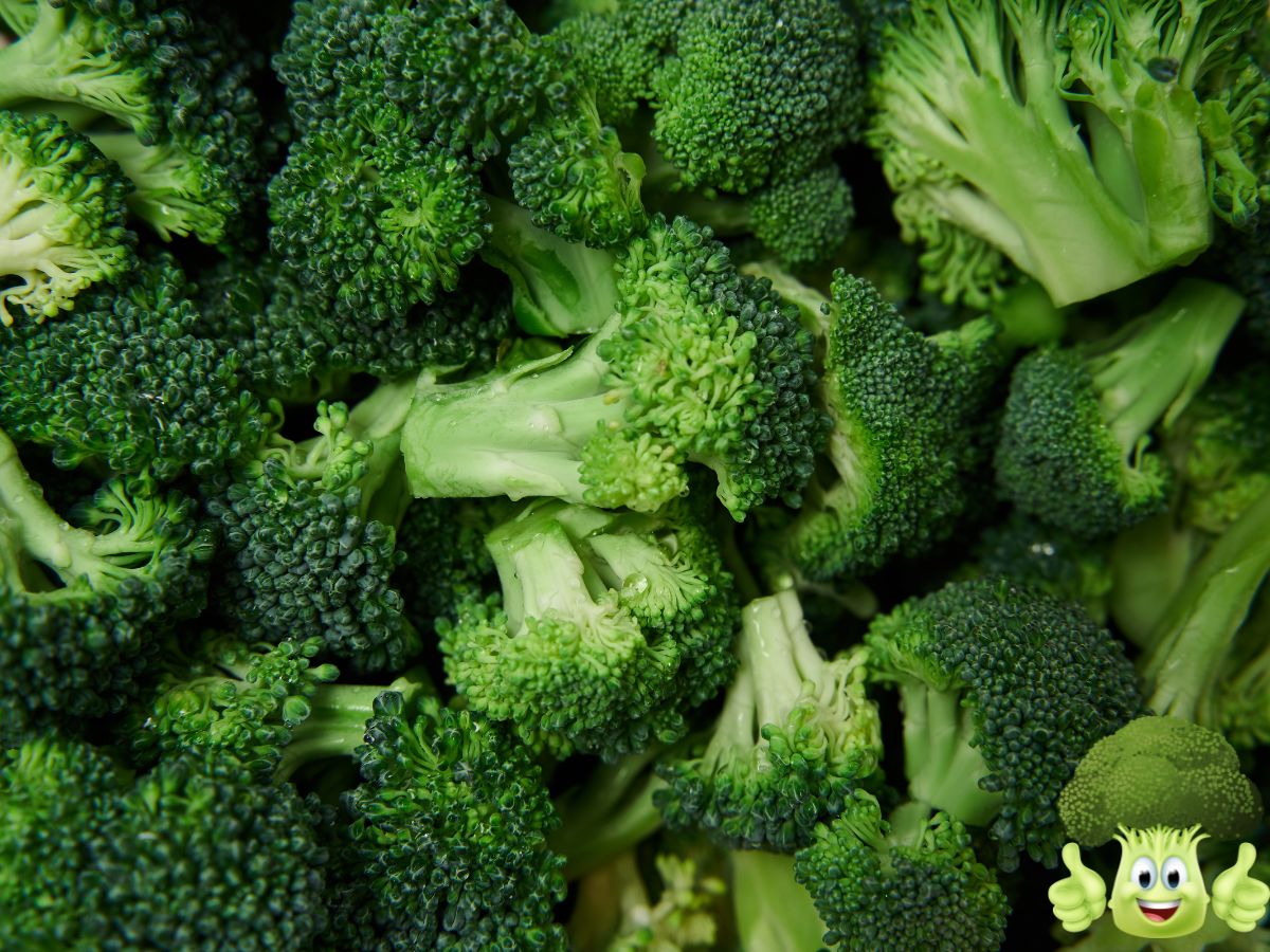 Broccoli: The Green Powerhouse Superfood