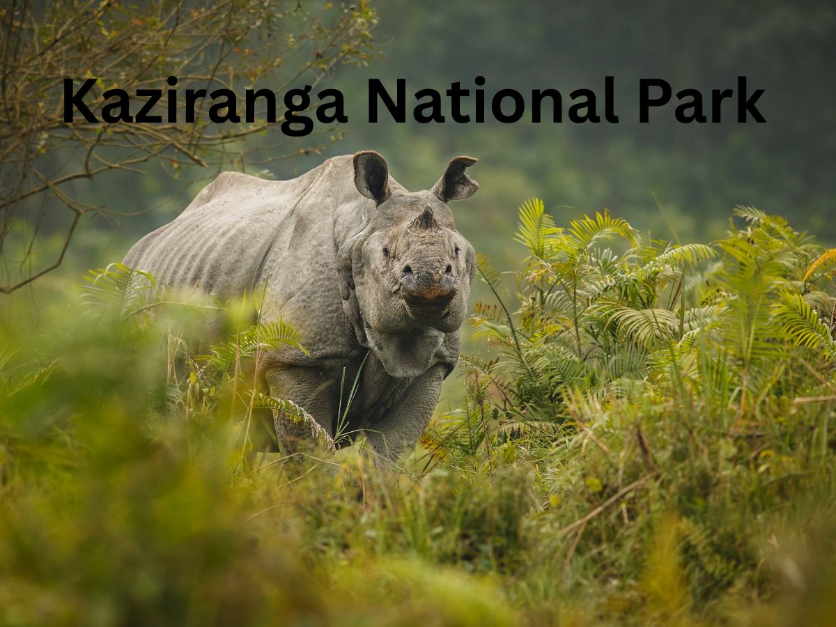 top 5 places to visit in winters in india