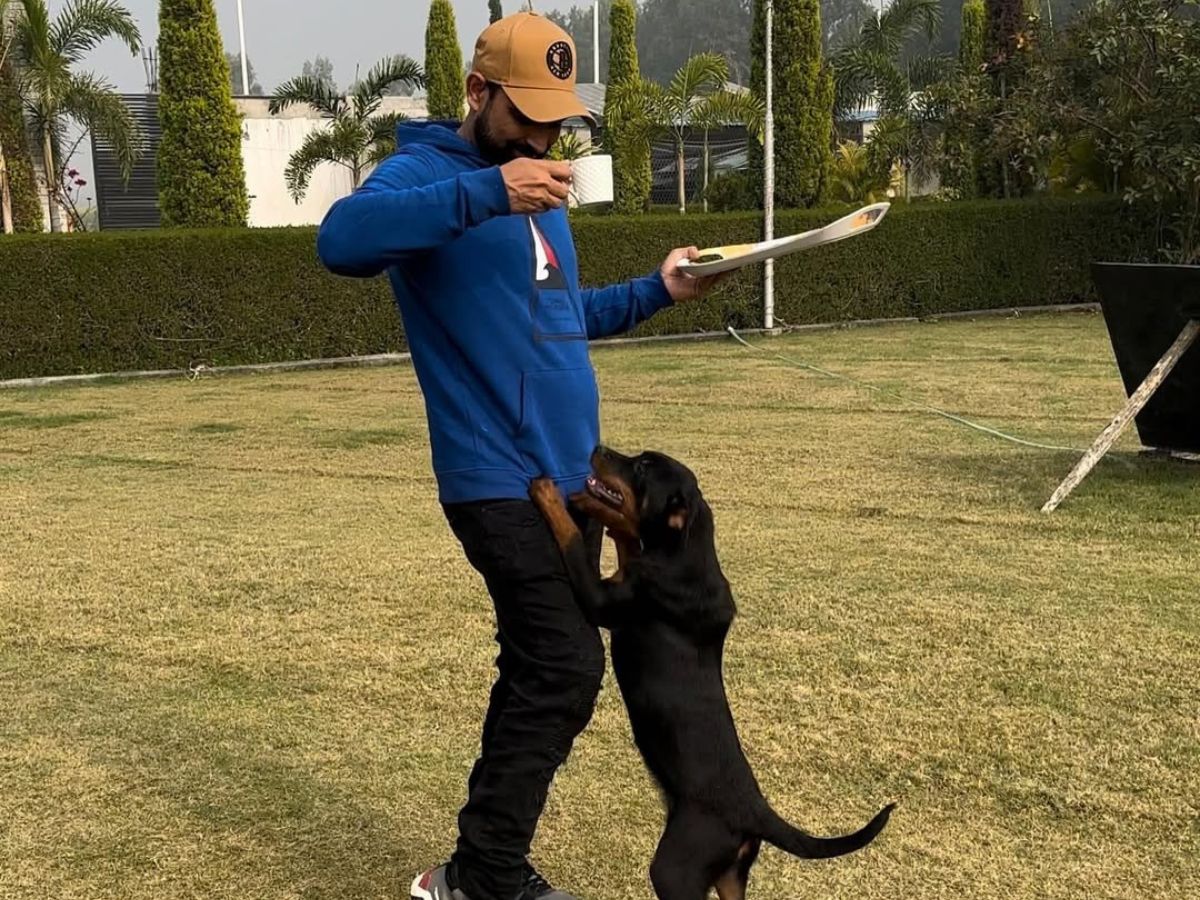 Shami’s Grand Farmhouse in Amroha