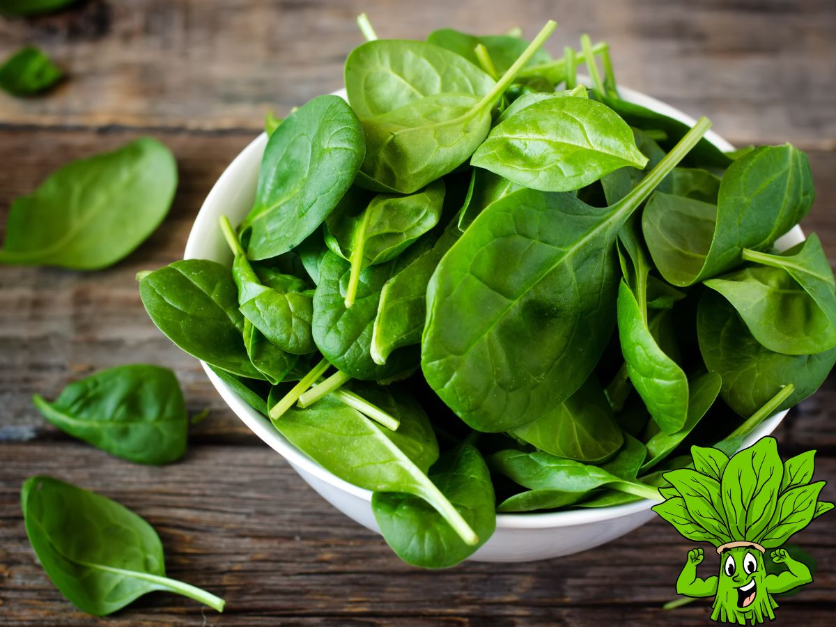Spinach: Green Superfood for Strength and Vitality