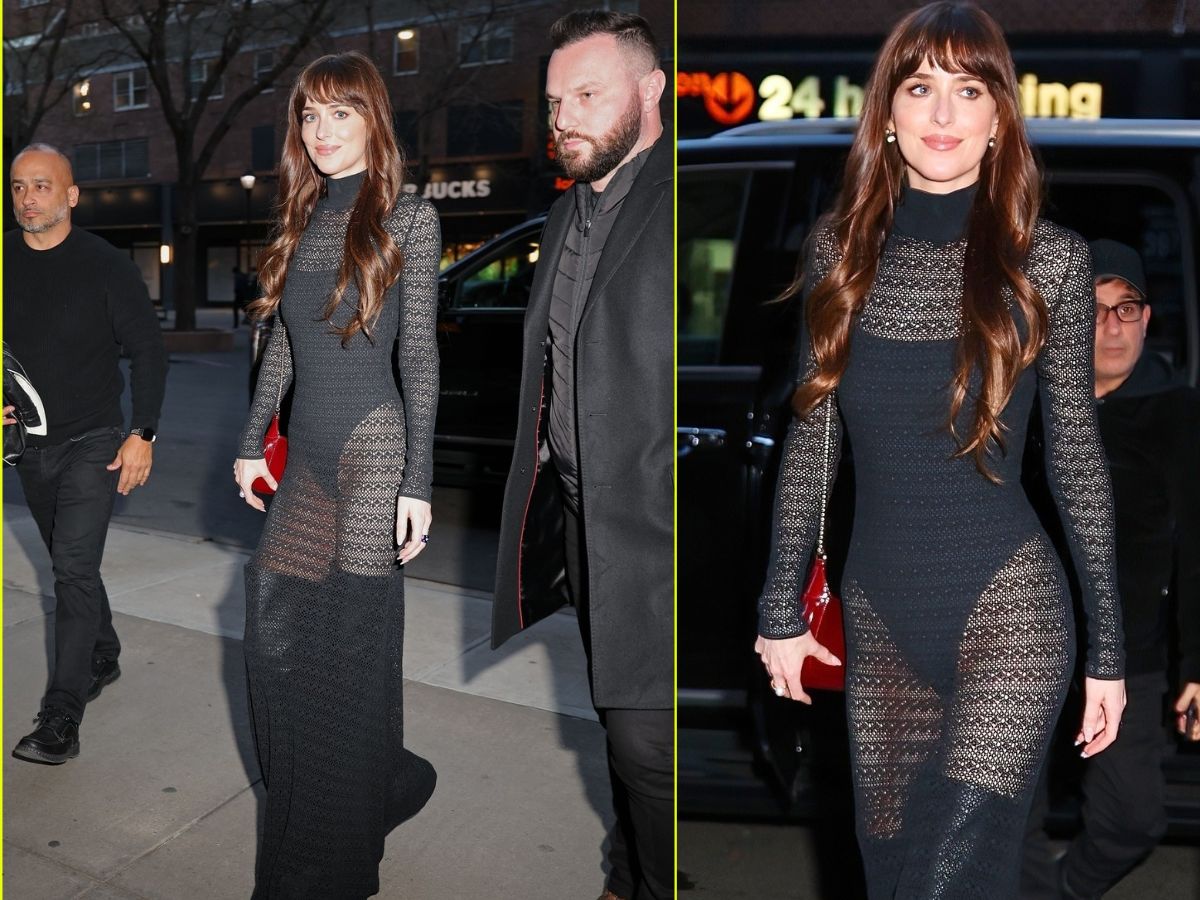 Dakota Johnson in Black Sheer Dress
