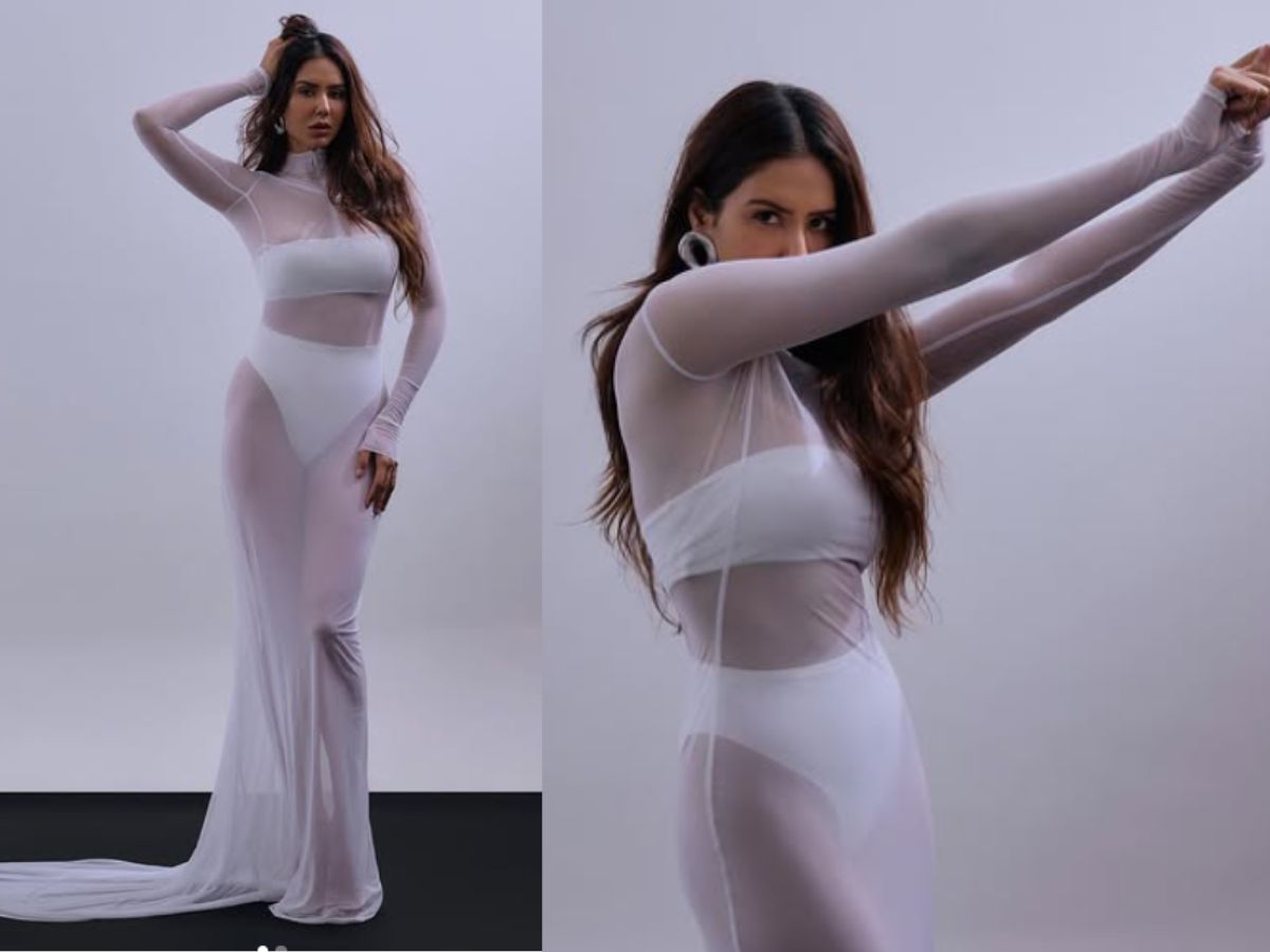 Sonam Bajwa in Sheer Dress