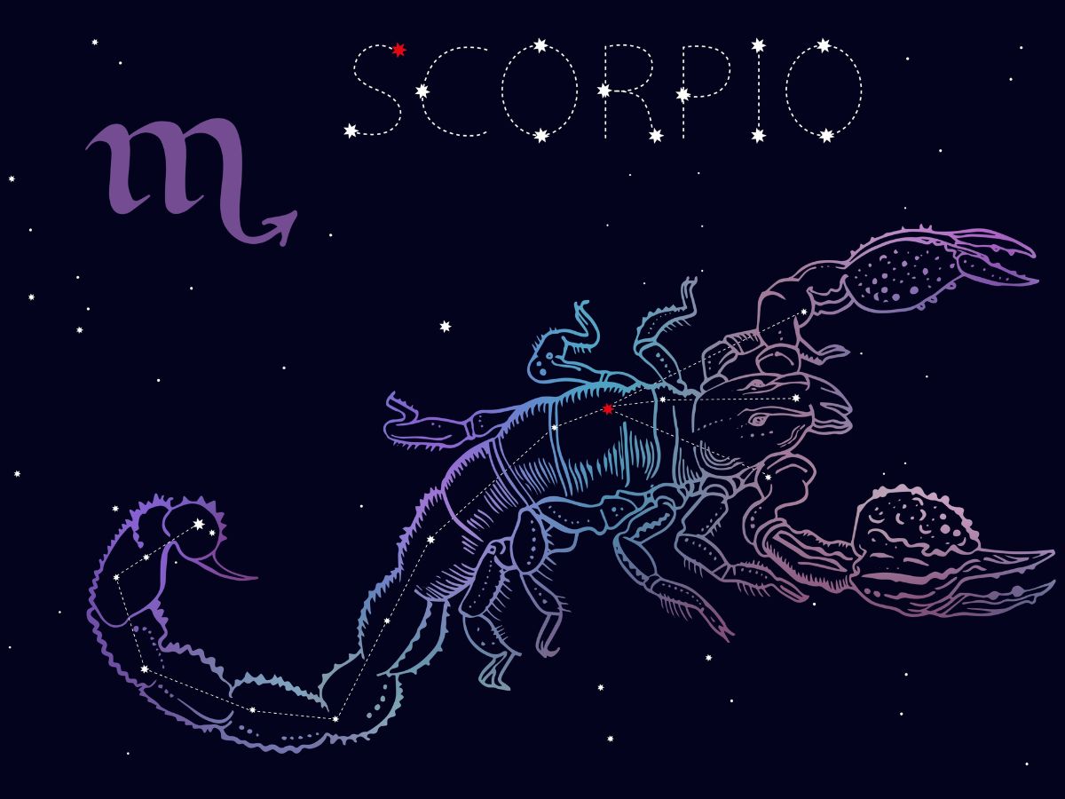 Scorpio (October 24 - November 22)