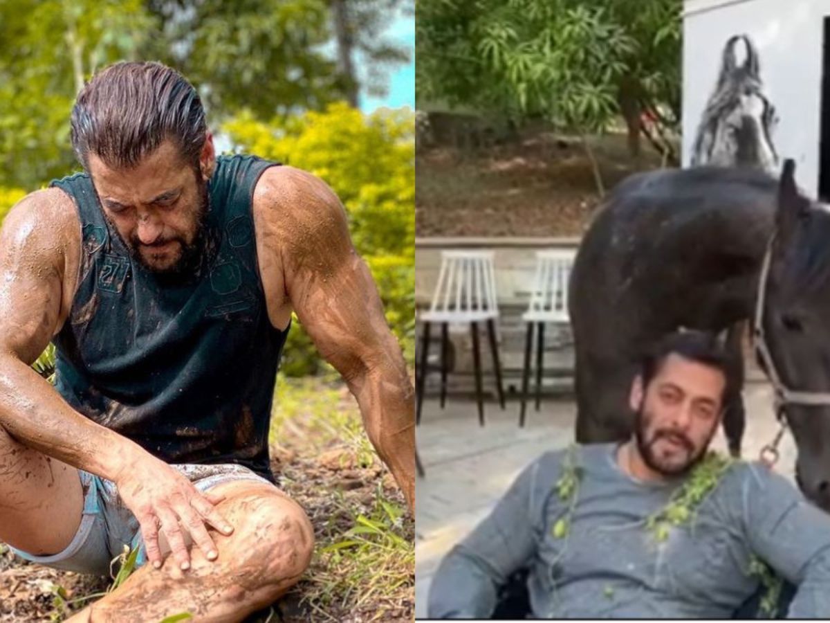 Massive 150-acre estate