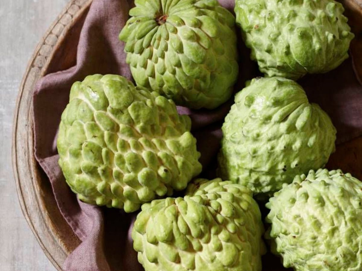 Supports brain health