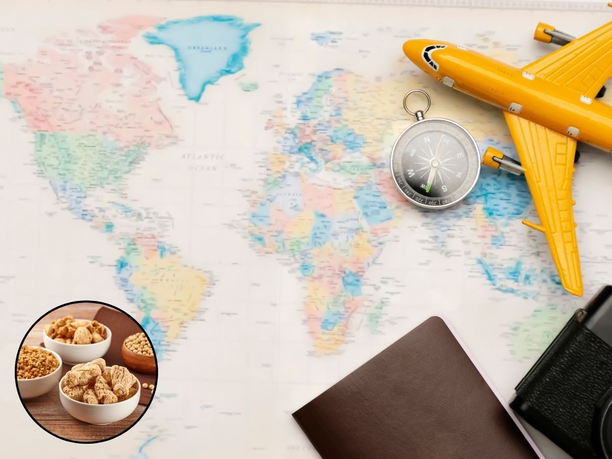 Travel Driven by Snacks