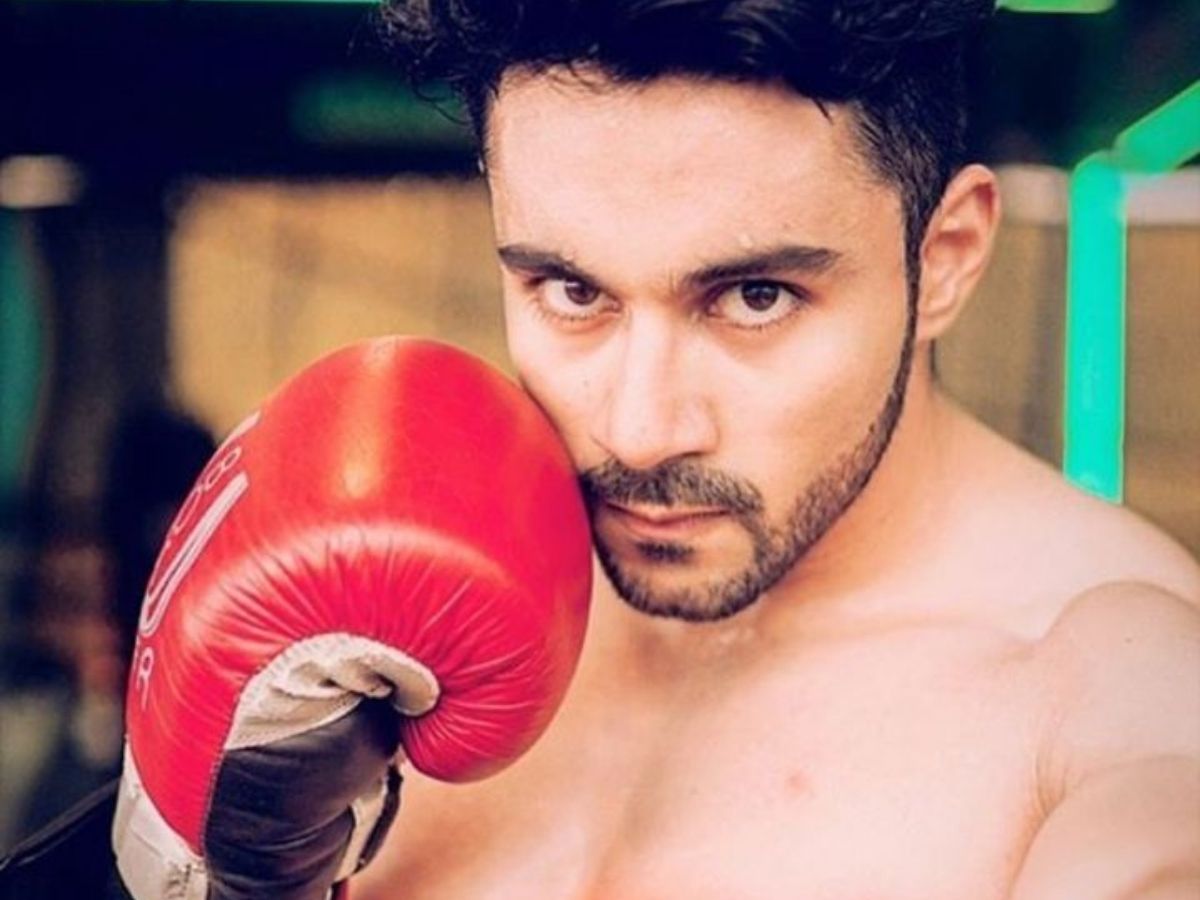 Abhishek Bajaj Bigg Boss 19 fame