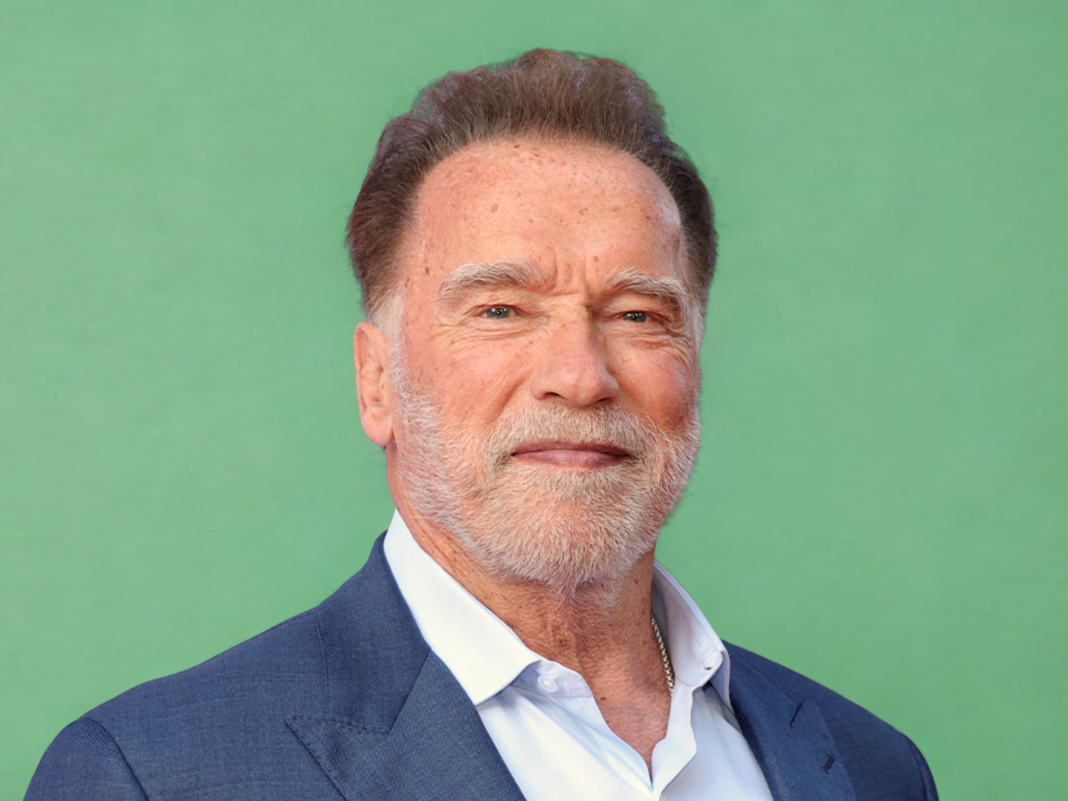 Arnold Schwarzenegger Net Worth Hollywood Star Turned Billionaire