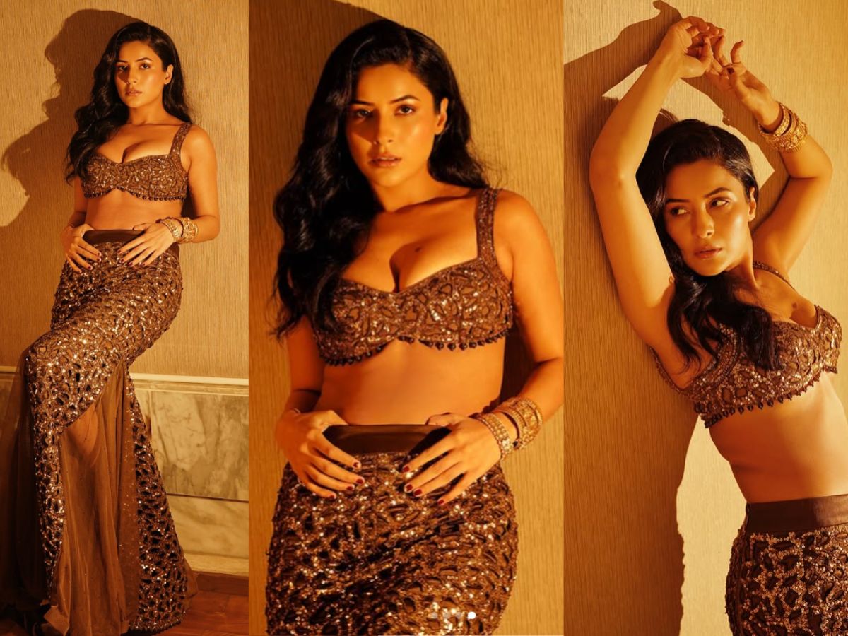 Shehnaaz Gill in Embellished Dress