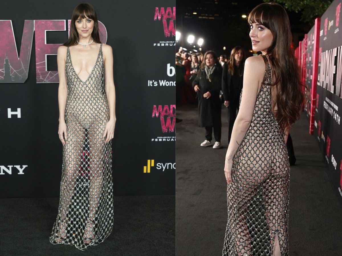 Dakota Johnson in Netted Metallic Gown