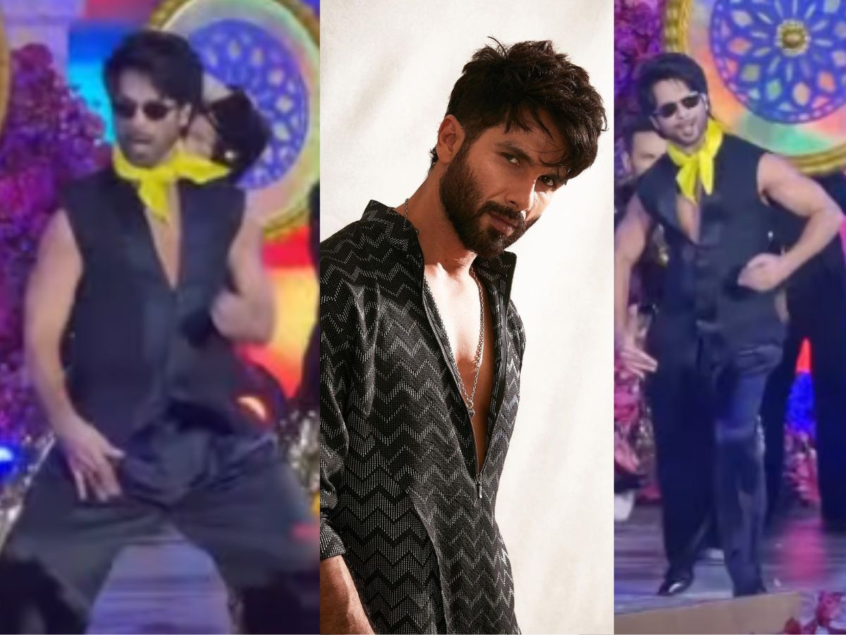 Shahid Kapoor Performance