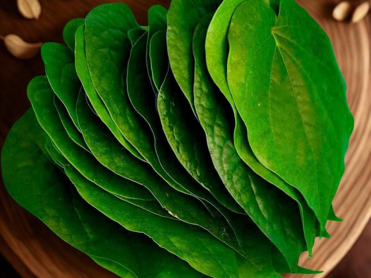 Constipation Relief in a Natural WayConstipation Relief in a Natural Way