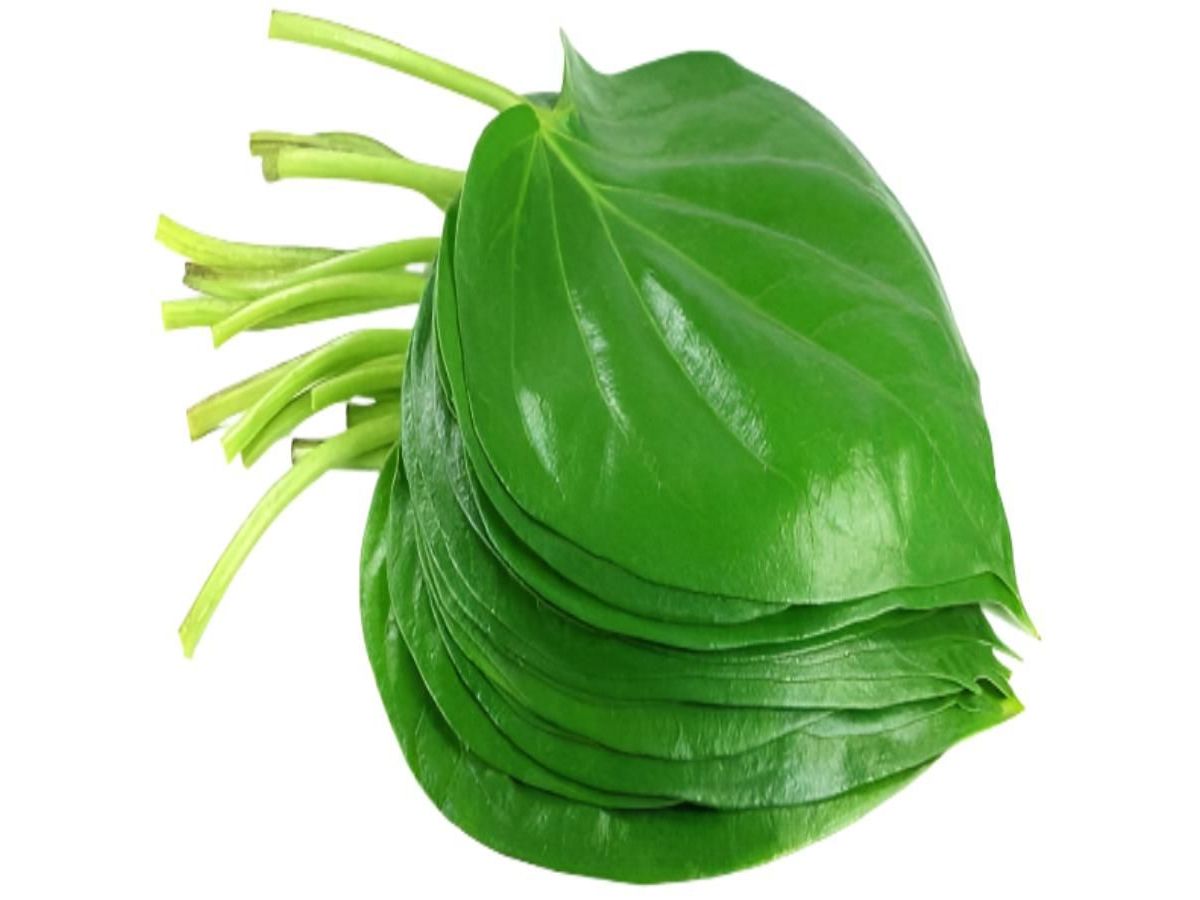 Appetite Stimulation Without Violence