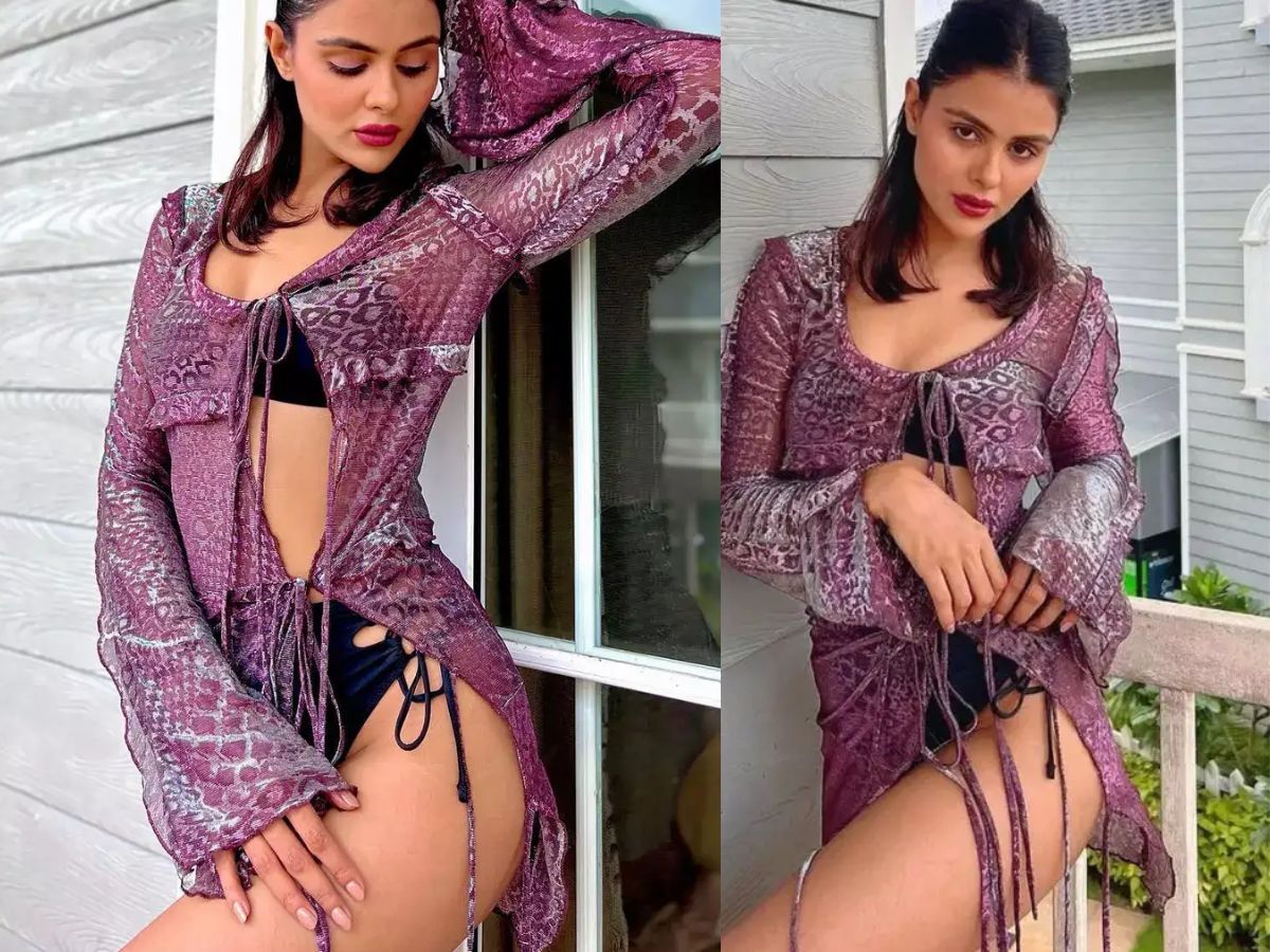 Priyanka Chahar Choudhary TV Roles