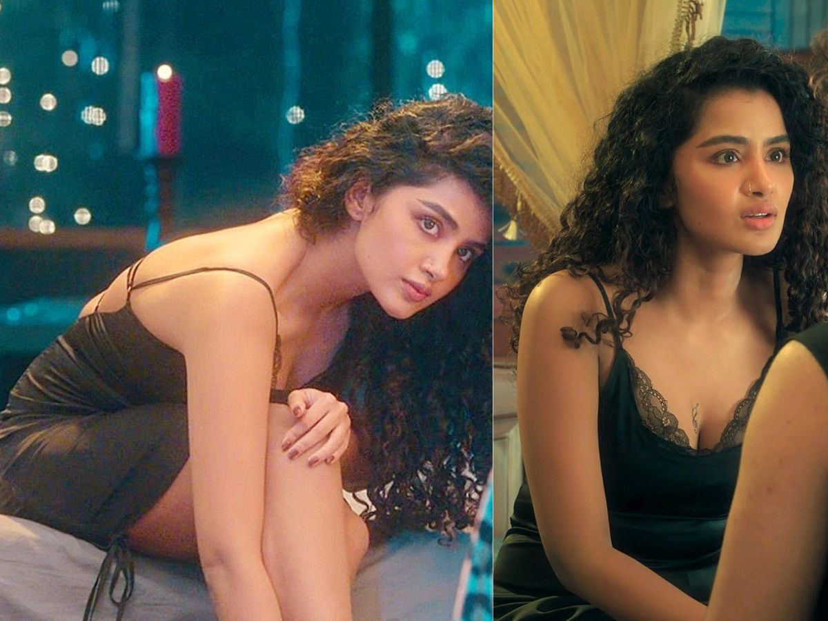 Who is Anupama Parameswaran Boyfriend?