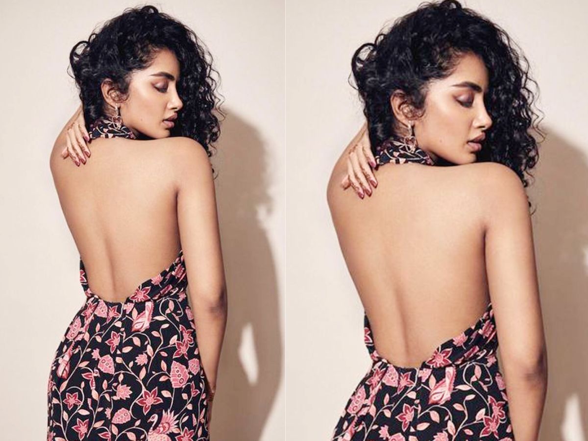 Anupama Parameswaran Career