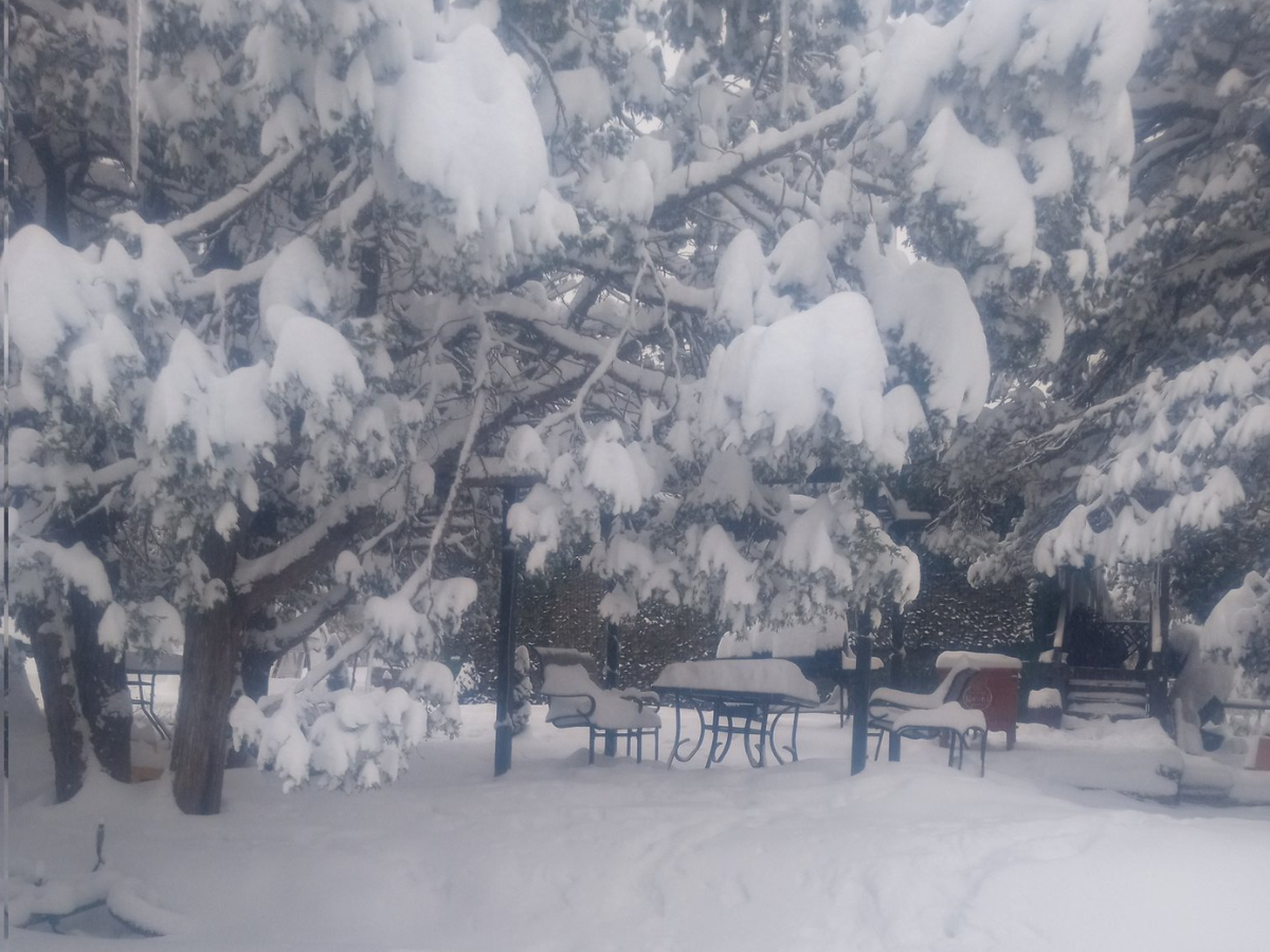 Auli, Uttarakhand