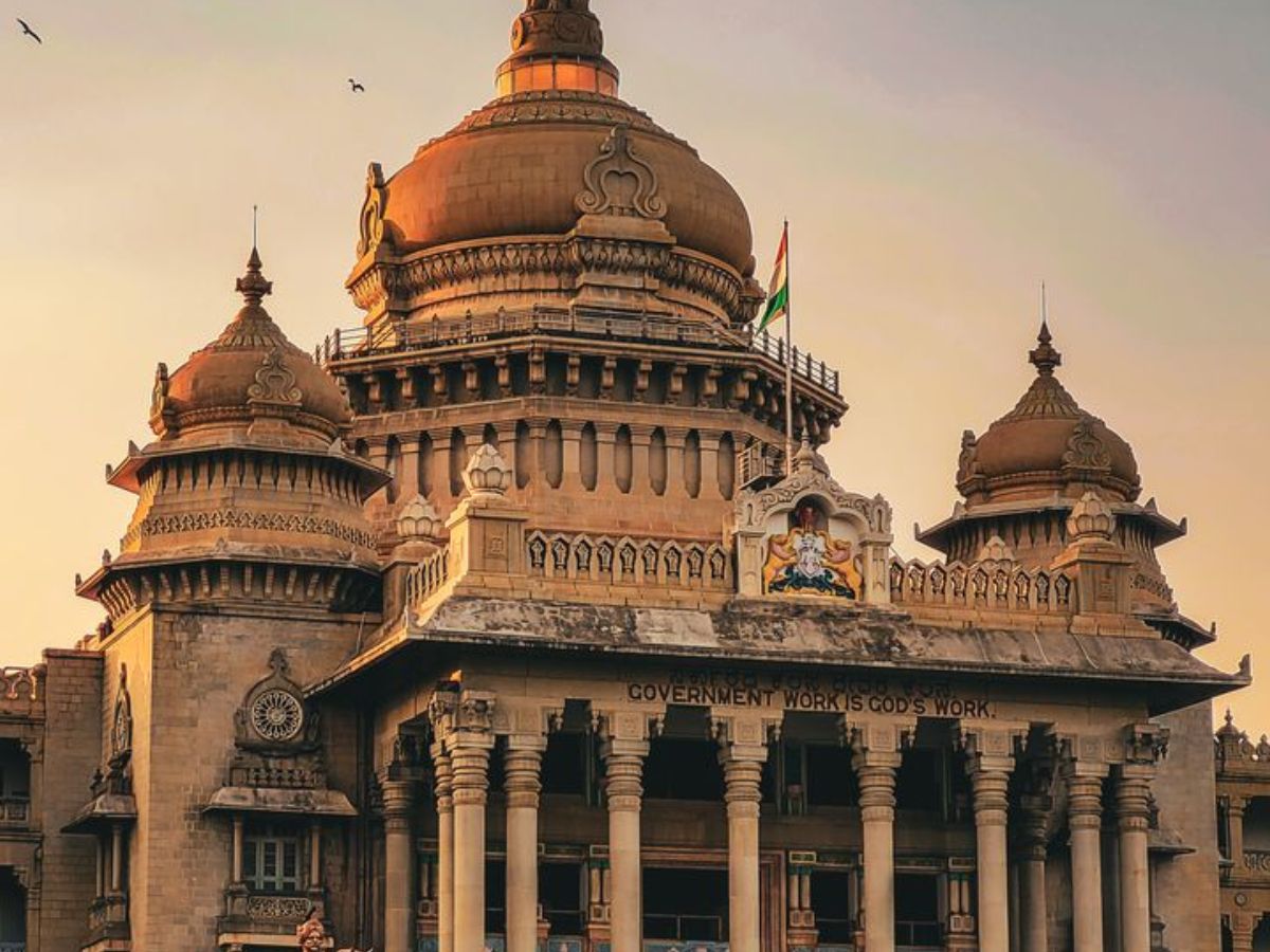 The Visionary Ecosystem