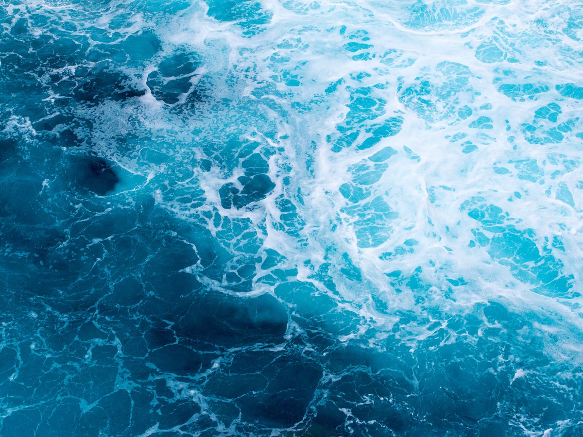 Warm Ocean Currents