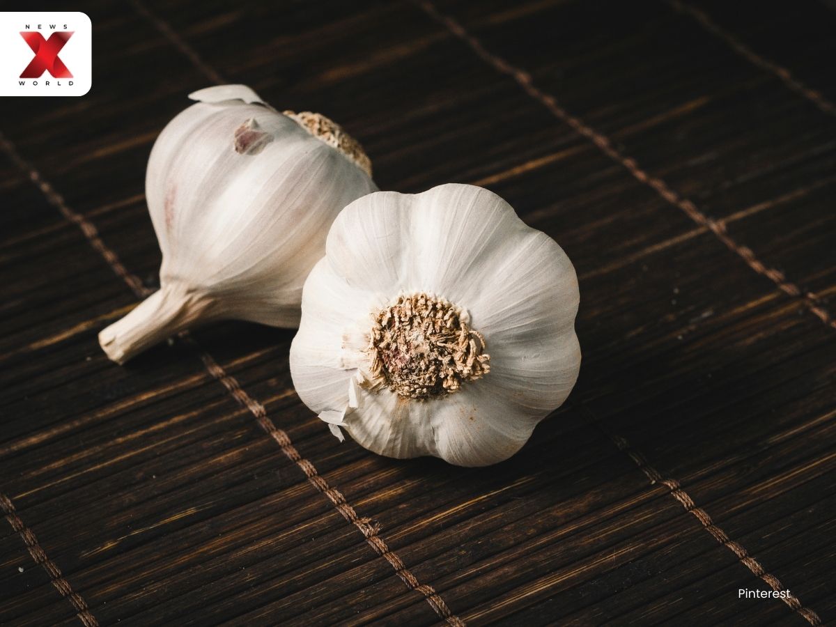 Garlic