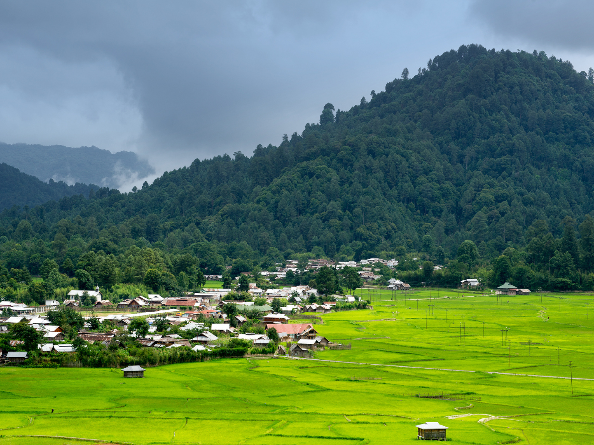Ziro, Arunachal Pradesh