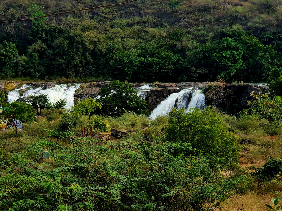 Gir National Park, Gujarat