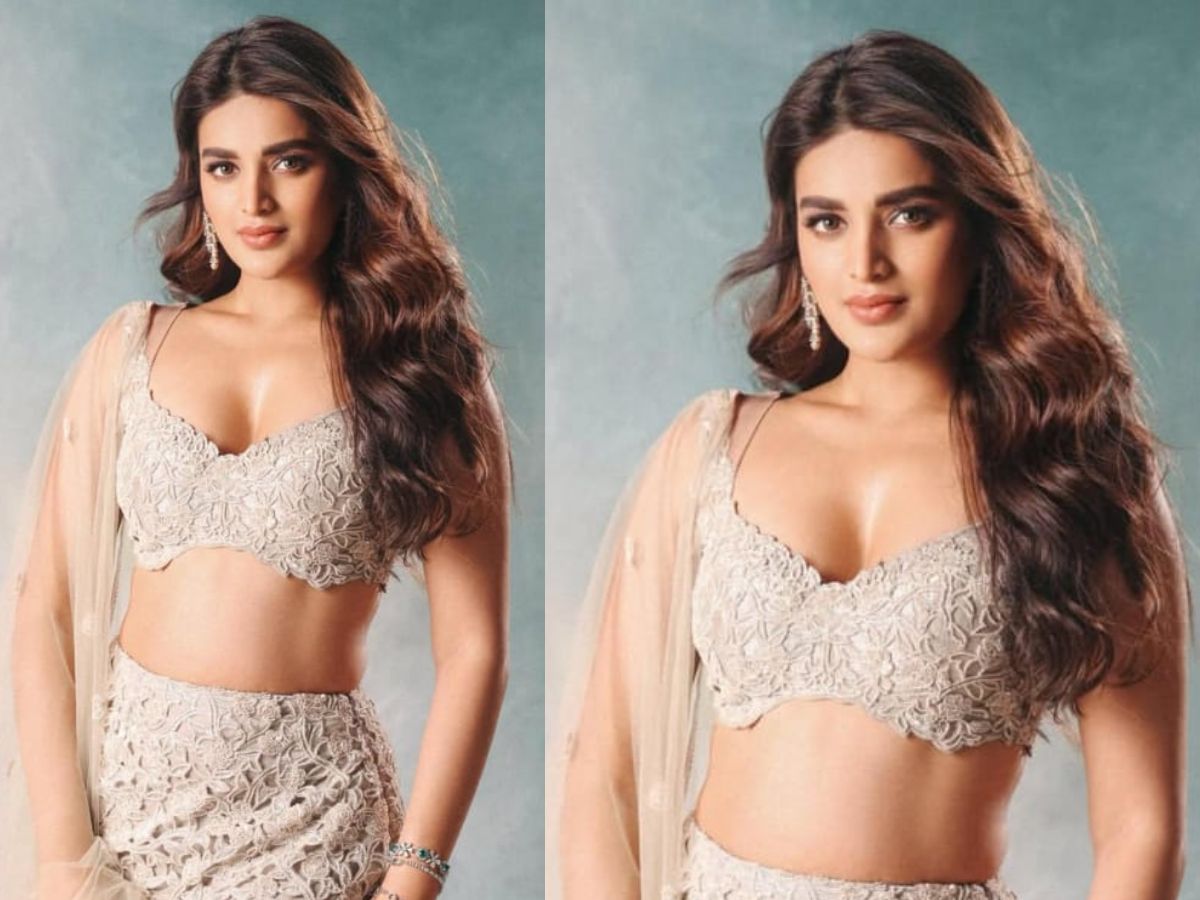 Nidhhi Agerwal Movies