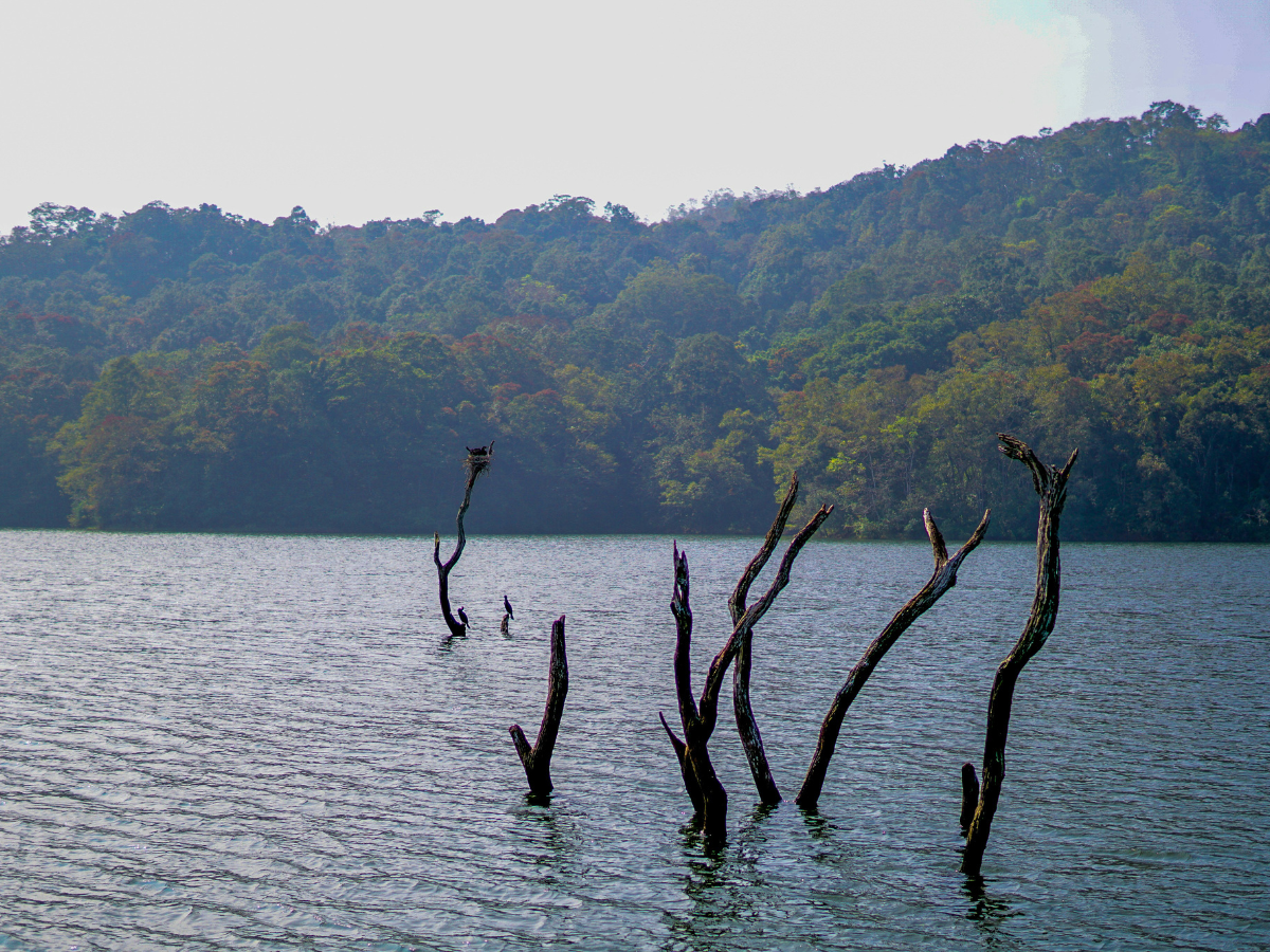 Your Long Weekend Adventure