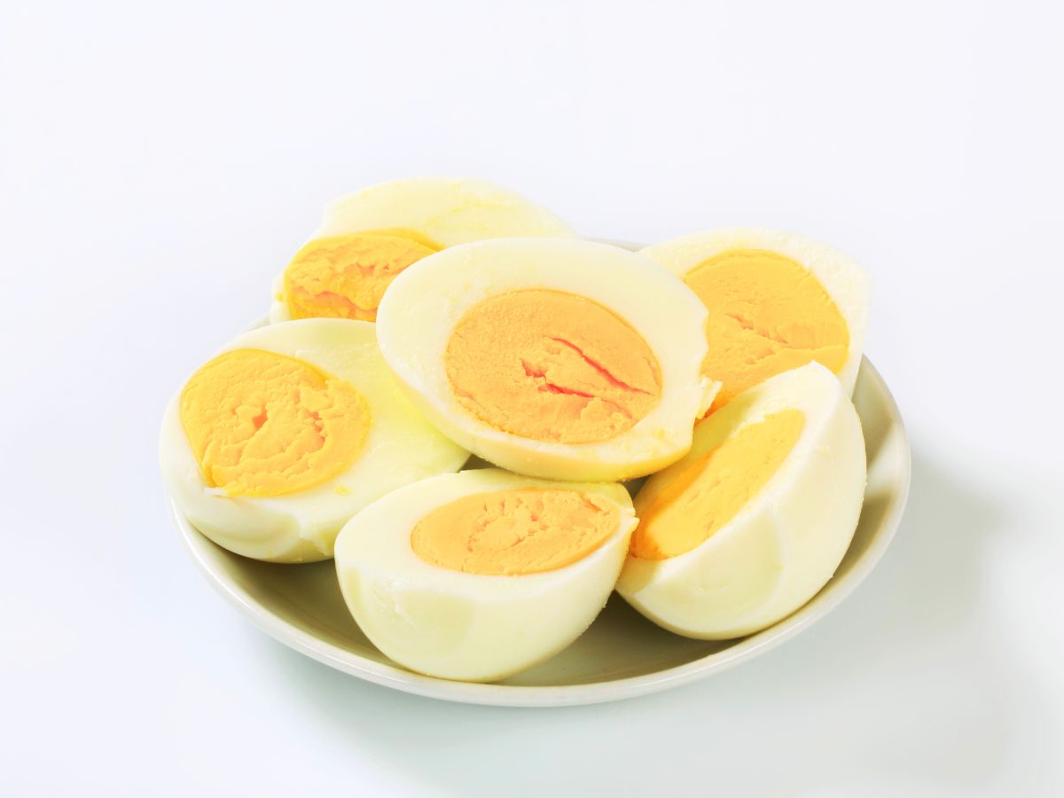 Power Your Day with Eggs