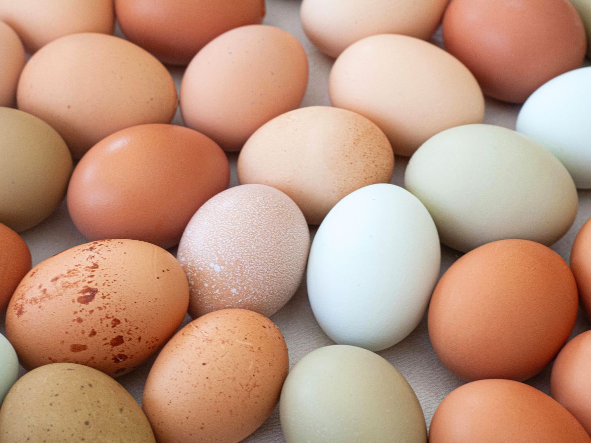 Eggs and Your Heart: Know the Limits