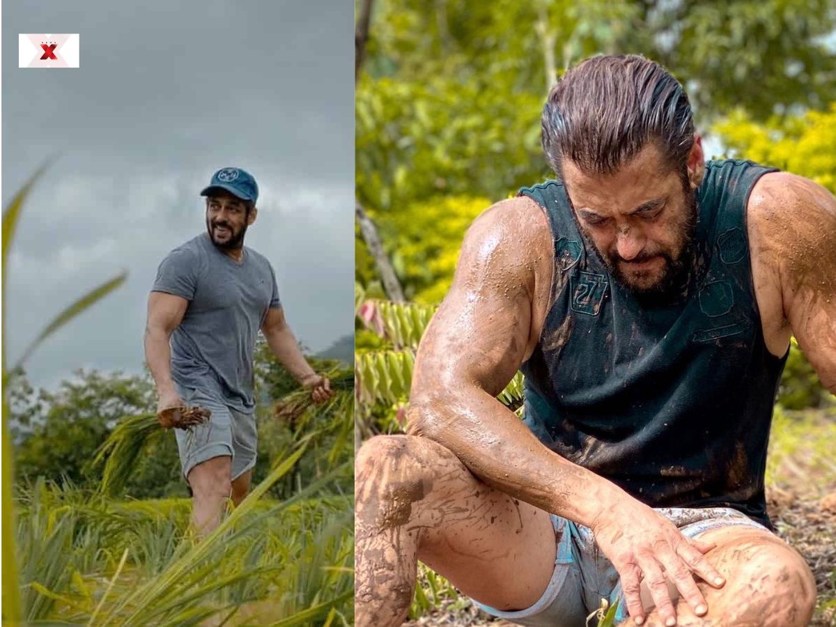 Salman Khan Talk of the Town Farmhouse