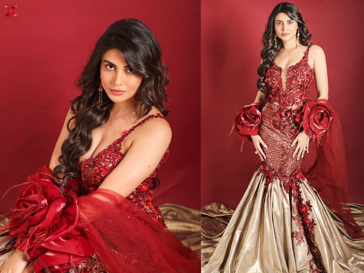 Educational Background