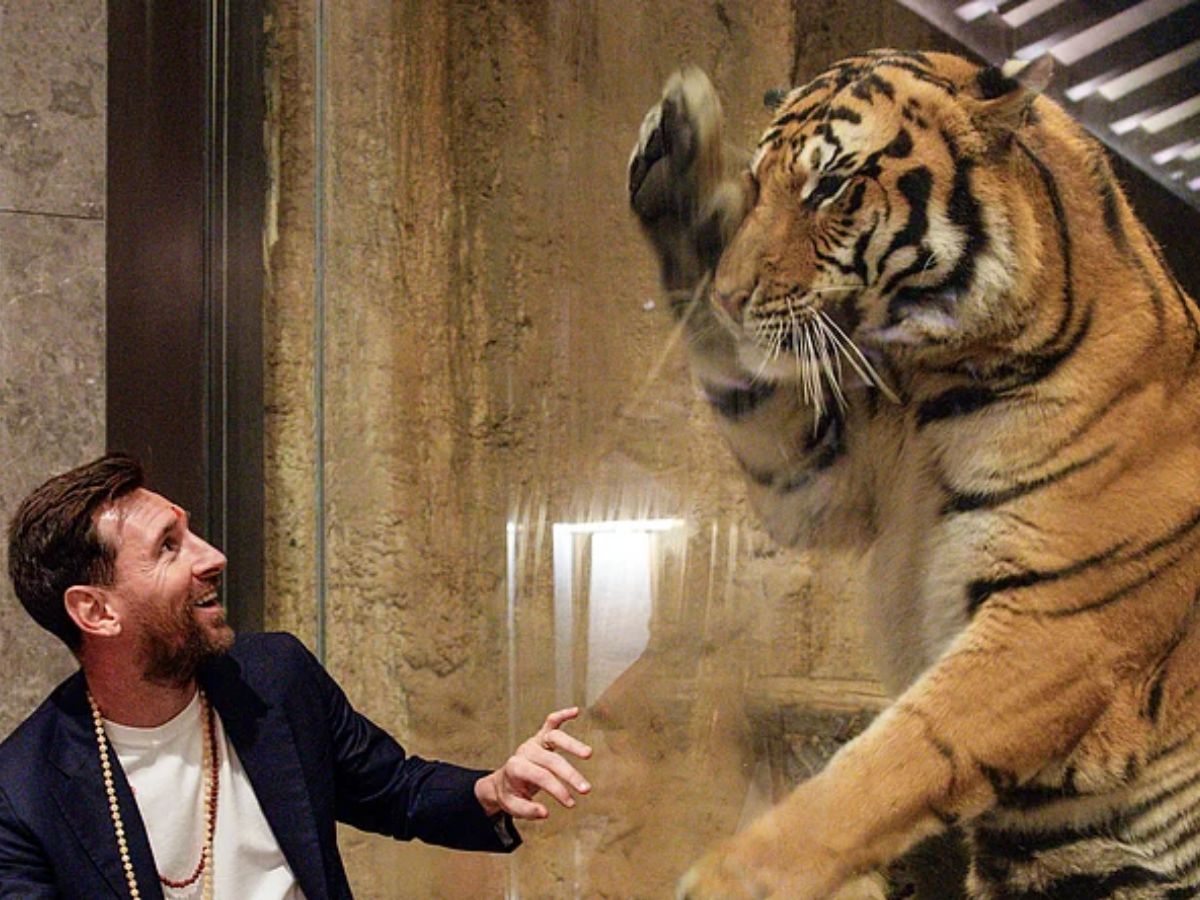 Up-Close With Endangered Species And Care Teams