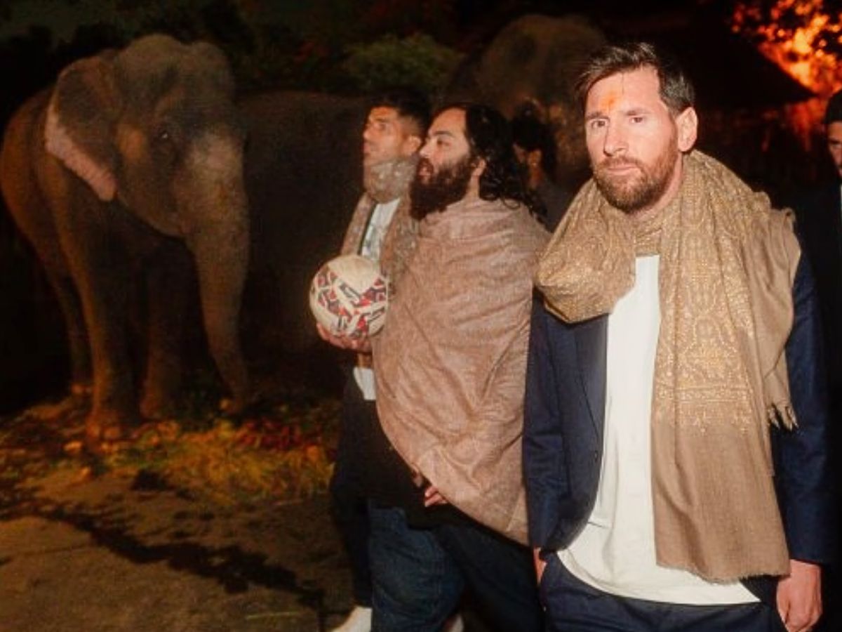 A Heartwarming Moment With Elephant Calf Maniklal