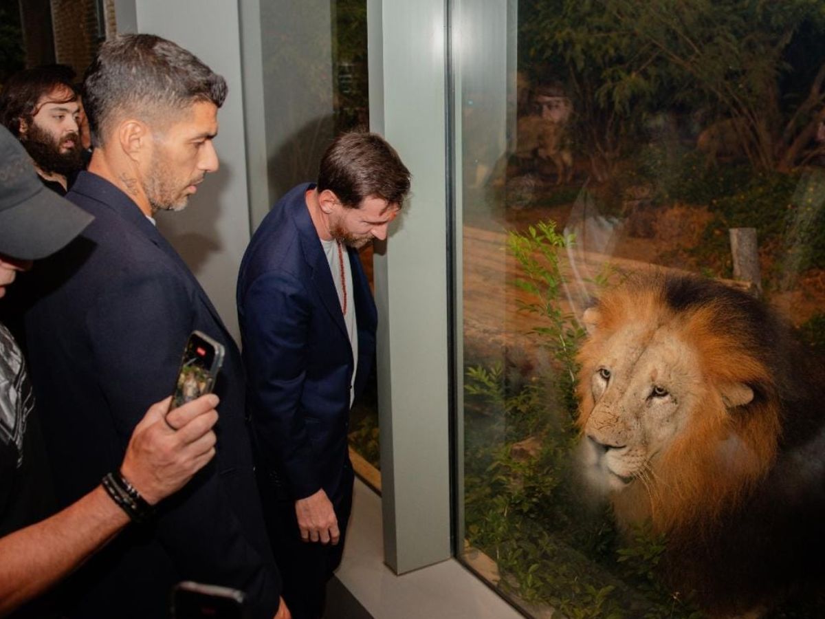 A Legacy Of Compassion And Commitment