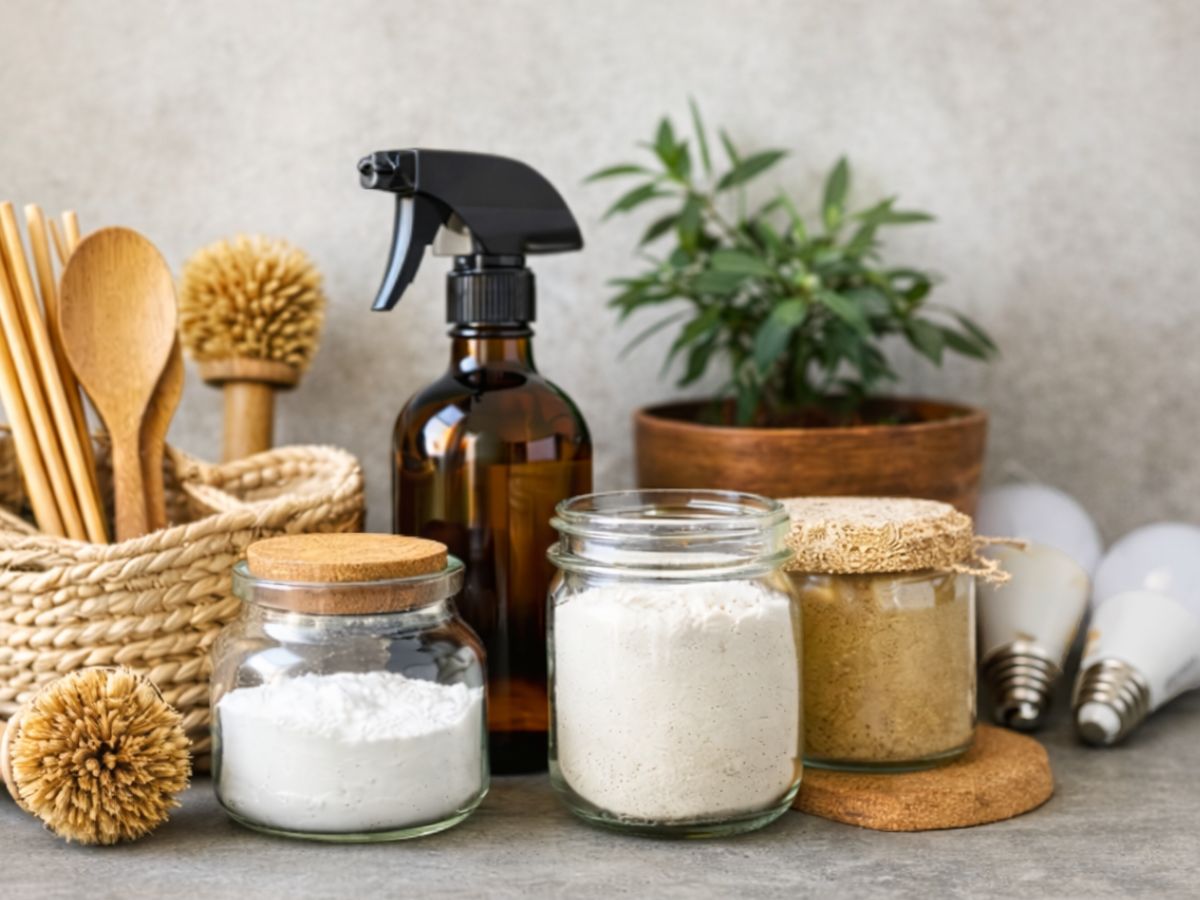 DIY Projects for a Greener Home