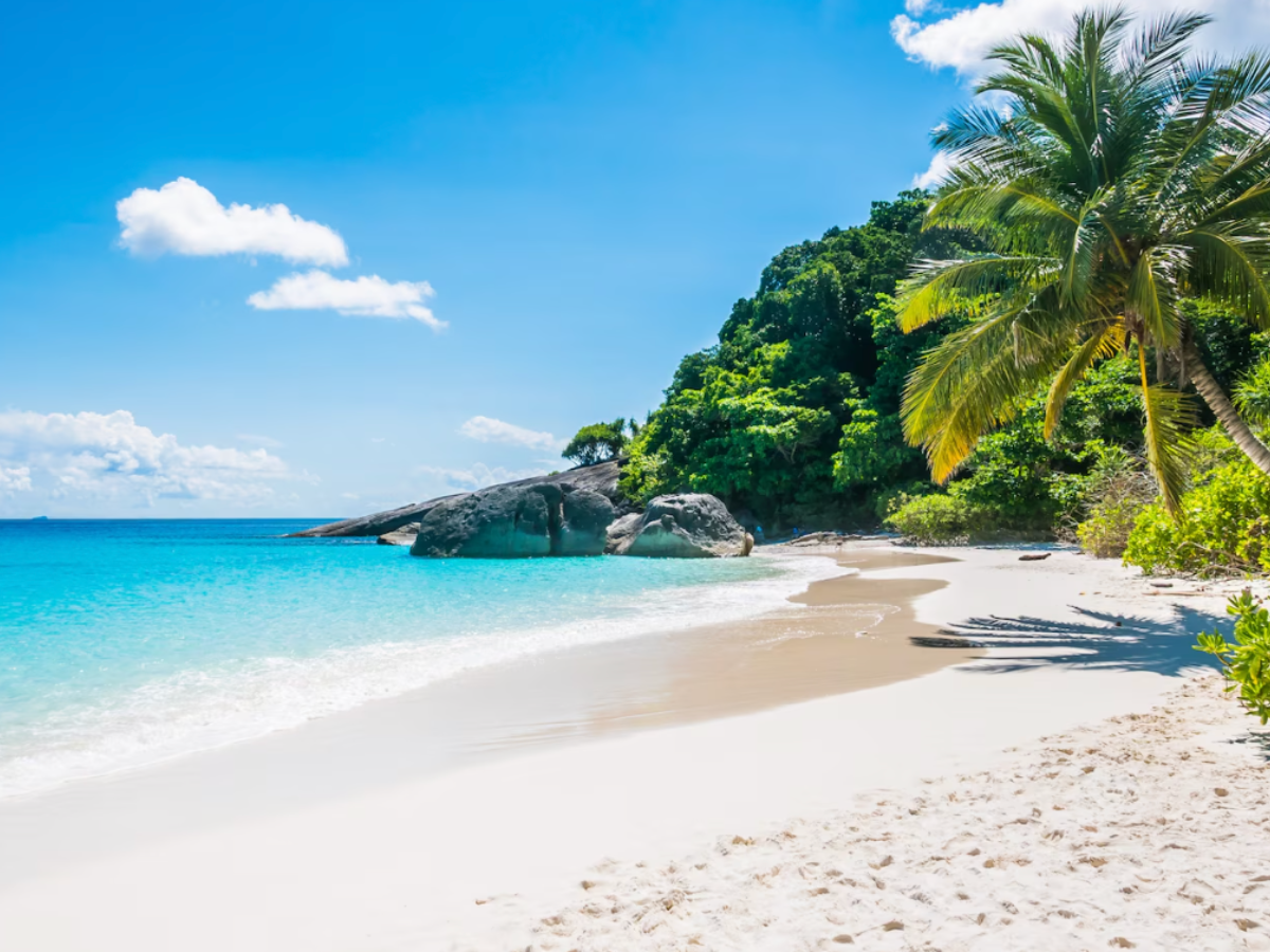 The Essence of a Beach Escape