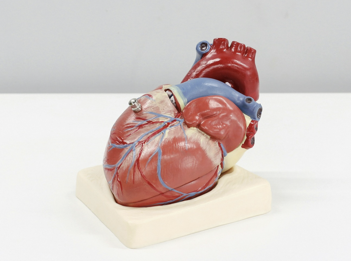 The Real Enemy: HFSS Diet