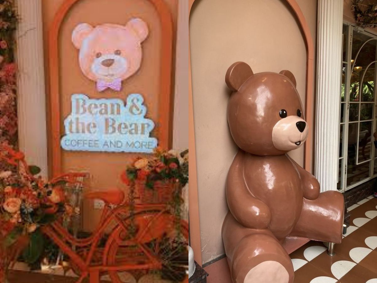 Bean & The Bear Greater Kailash Delhi