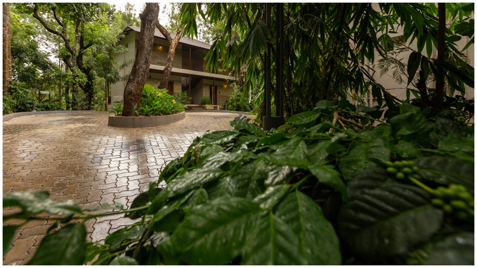 how-chikkamagaluru-became-indias-next-luxury-tourism-frontier-and-the-silver-sky-is-leading-the-charge20260615165842 How Chikkamagaluru Became India's Next Luxury Tourism Frontier — and The Silver Sky Is Leading the Charge