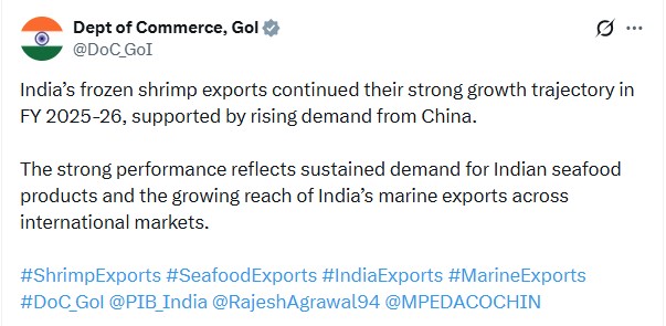China emerges as key growth driver for India's frozen shrimp exports; US remains top market in FY26