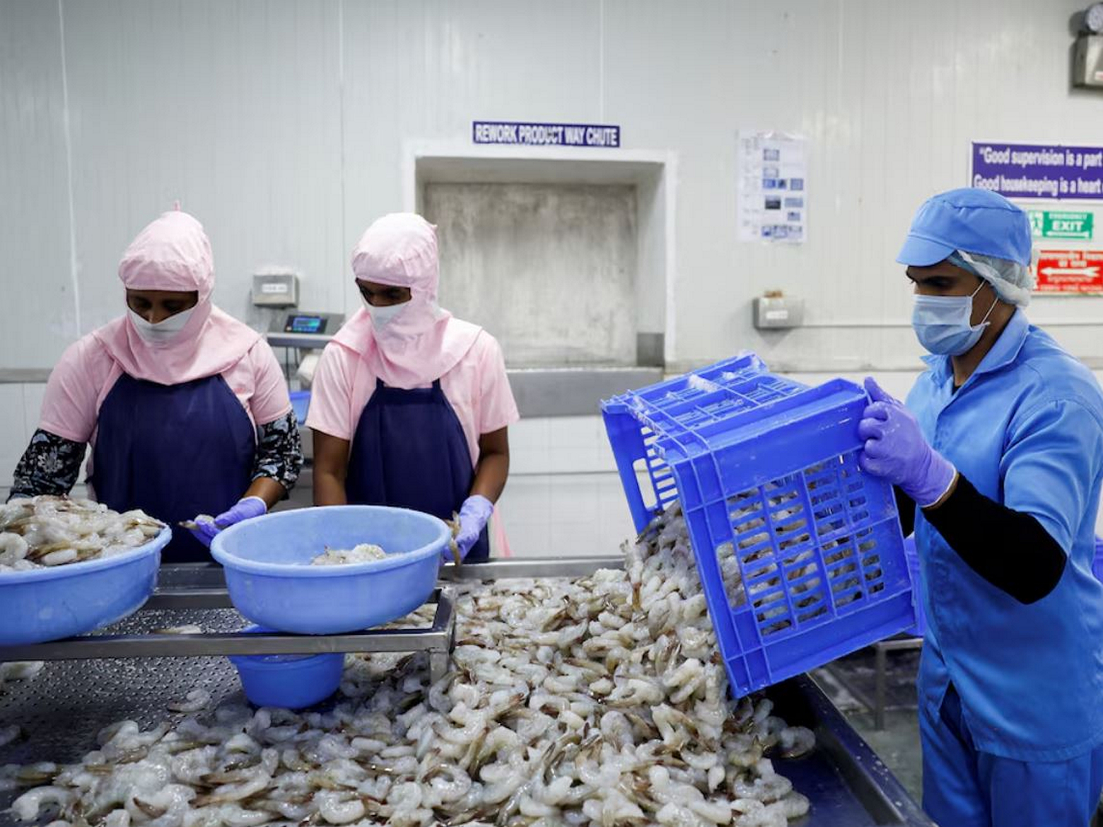 China emerges as key growth driver for India's frozen shrimp exports; US remains top market in FY26
