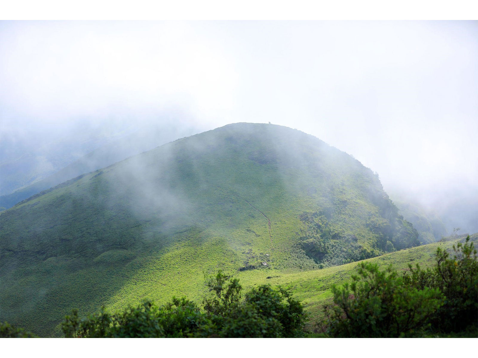 how-chikkamagaluru-became-indias-next-luxury-tourism-frontier-and-the-silver-sky-is-leading-the-charge20260615165842 How Chikkamagaluru Became India's Next Luxury Tourism Frontier — and The Silver Sky Is Leading the Charge